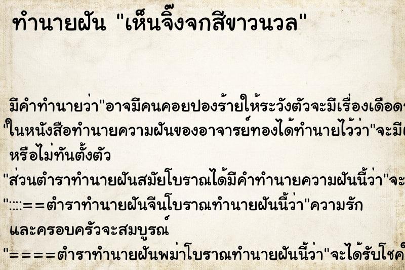 ทำนายฝัน เห็นจิ๊งจกสีขาวนวล ทำนายฝัน เห็นจิ๊งจกสีขาวนวล