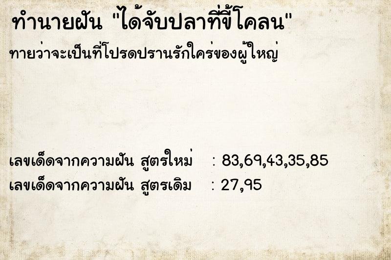 ทำนายฝันได้จับปลาที่ขี้โคลน ทำนายฝันทำนายฝันได้จับปลาที่ขี้โคลน