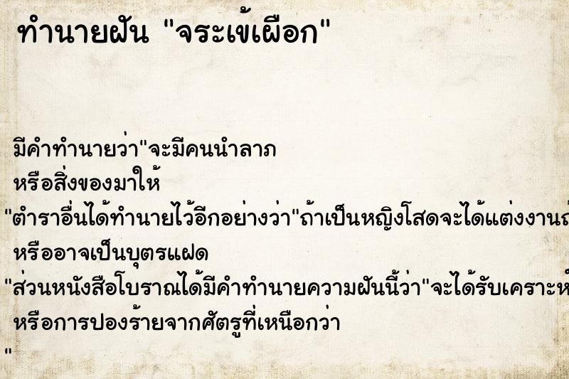 ทำนายฝัน จระเข้เผือก ทำนายฝัน จระเข้เผือก