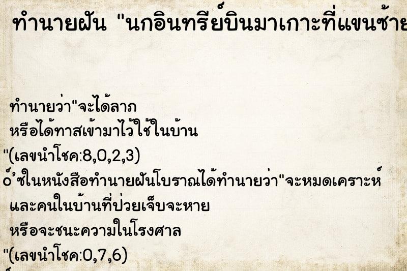 ทำนายฝัน นกอินทรีย์บินมาเกาะที่แขนซ้าย