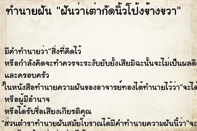 ทำนายฝัน ฝันว่าเต่ากัดนิ้วโป้งข้างขวา ทำนายฝัน ฝันว่าเต่ากัดนิ้วโป้งข้างขวา