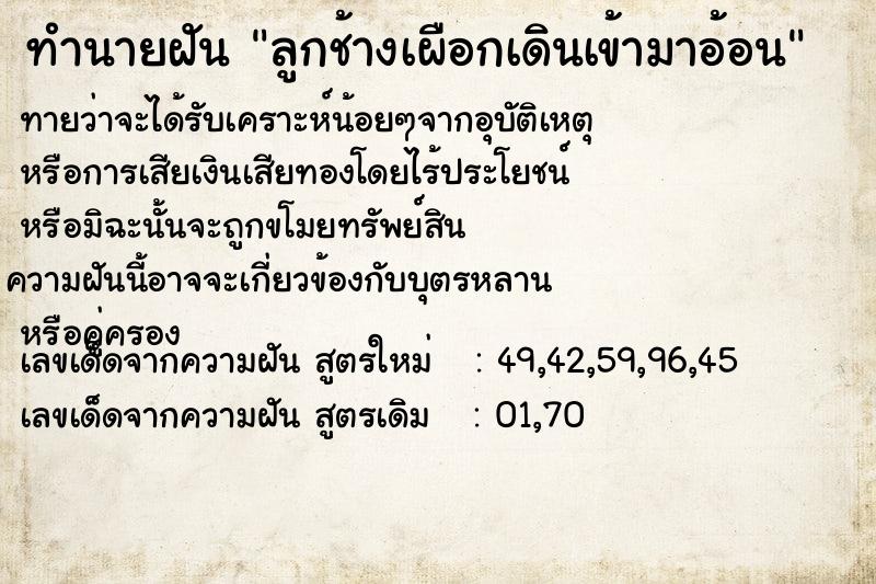 ทำนายฝันลูกช้างเผือกเดินเข้ามาอ้อน ทำนายฝันทำนายฝันลูกช้างเผือกเดินเข้ามาอ้อน