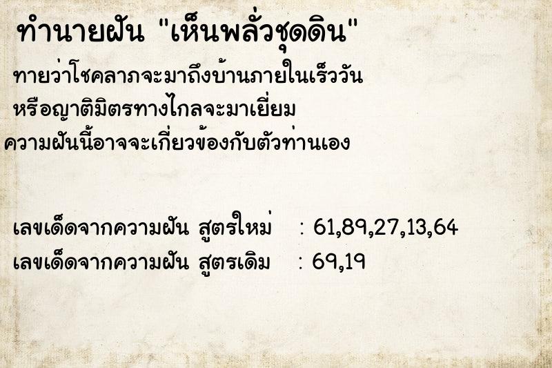ทำนายฝันเห็นพลั่วชุดดิน ทำนายฝันทำนายฝันเห็นพลั่วชุดดิน