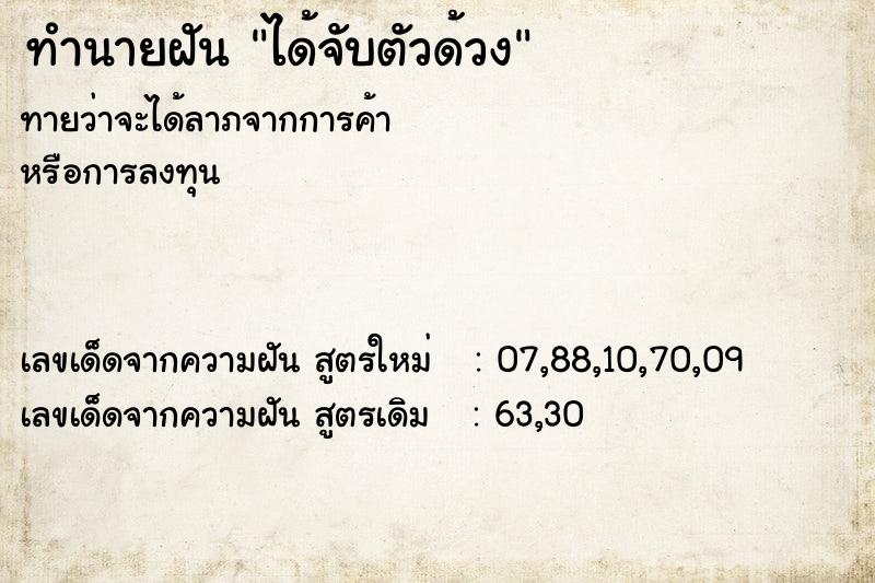 ทำนายฝันทำนายฝันได้จับตัวด้วง