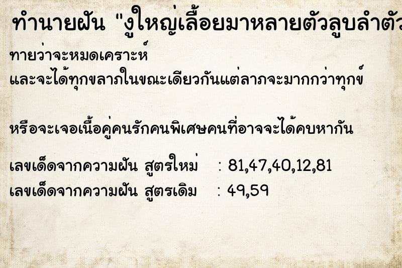 ทำนายฝันงูใหญ่เลื้อยมาหลายตัวลูบลำตัวงู ทำนายฝันทำนายฝันงูใหญ่เลื้อยมาหลายตัวลูบลำตัวงู