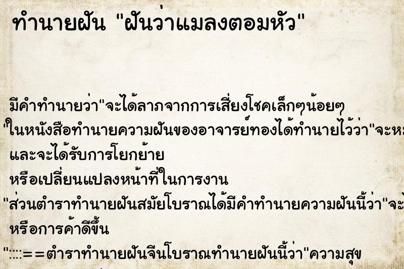 ทำนายฝัน ฝันว่าแมลงตอมหัว ทำนายฝัน ฝันว่าแมลงตอมหัว