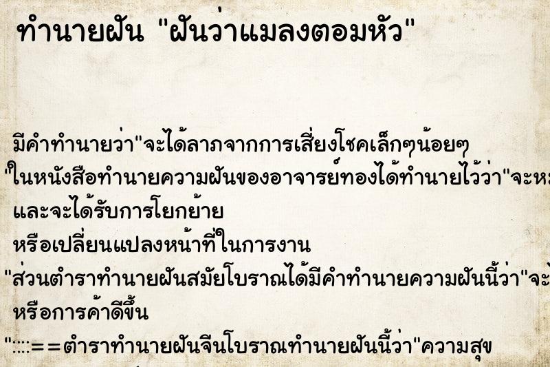 ทำนายฝัน ฝันว่าแมลงตอมหัว ตำราโบราณ แม่นที่สุดในโลก