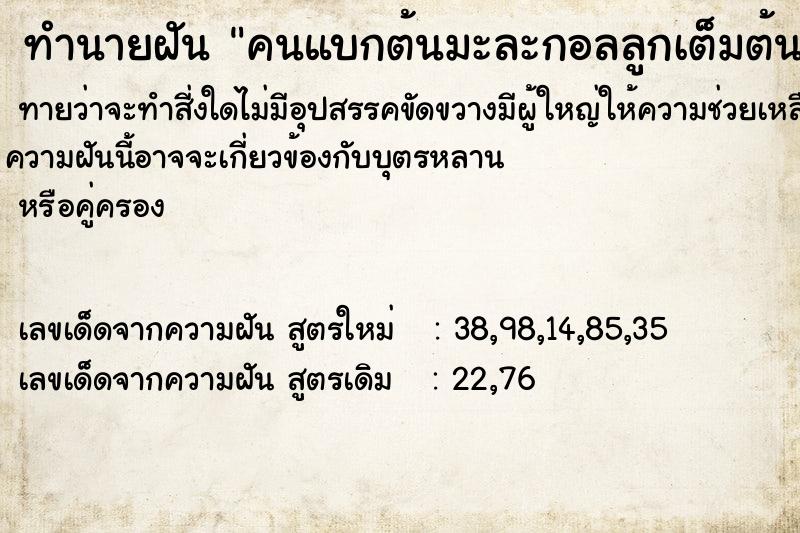 ทำนายฝันคนแบกต้นมะละกอลลูกเต็มต้น ทำนายฝันทำนายฝันคนแบกต้นมะละกอลลูกเต็มต้น