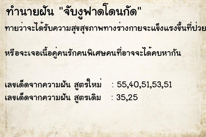 ทำนายฝัน จับงูฟาดโดนกัด