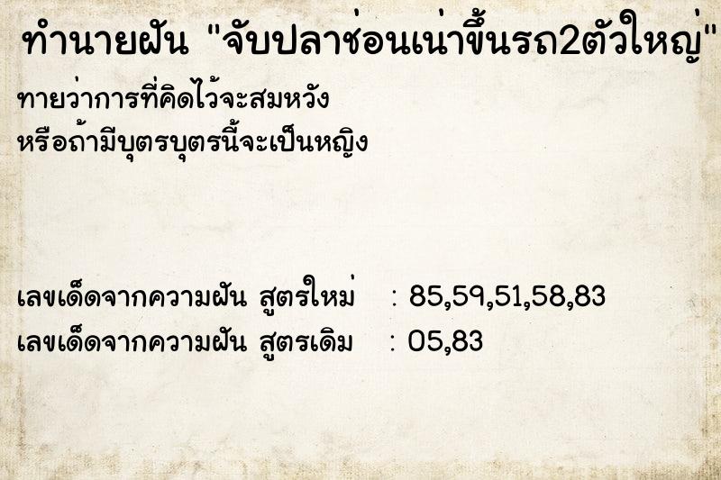ทำนายฝันจับปลาช่อนเน่าขึ้นรถ2ตัวใหญ่ ทำนายฝันทำนายฝันจับปลาช่อนเน่าขึ้นรถ2ตัวใหญ่