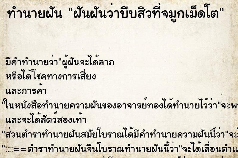 ทำนายฝันฝันฝันว่าบีบสิวที่จมูกเม็ดโต ทำนายฝันทำนายฝันฝันฝันว่าบีบสิวที่จมูกเม็ดโต