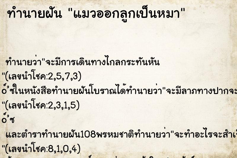 ทำนายฝัน แมวออกลูกเป็นหมา ทำนายฝัน แมวออกลูกเป็นหมา