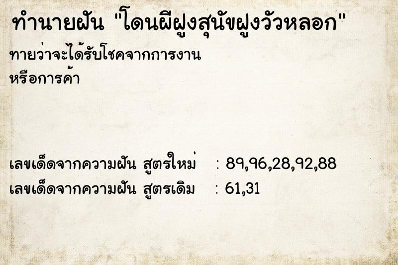 ทำนายฝันโดนผีฝูงสุนัขฝูงวัวหลอก ทำนายฝันทำนายฝันโดนผีฝูงสุนัขฝูงวัวหลอก