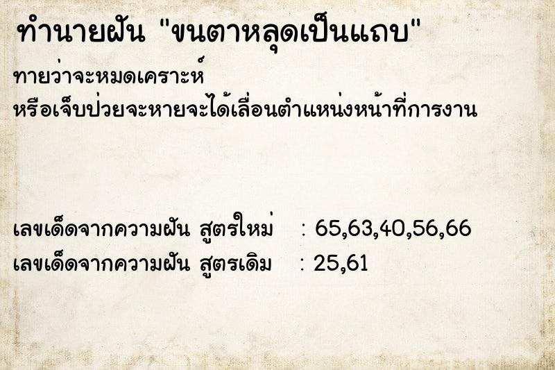 ทำนายฝันขนตาหลุดเป็นแถบ ทำนายฝันทำนายฝันขนตาหลุดเป็นแถบ