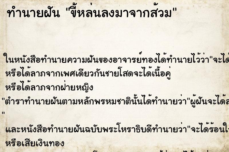 ทำนายฝันขี้หล่นลงมาจากส้วม ทำนายฝันทำนายฝันขี้หล่นลงมาจากส้วม