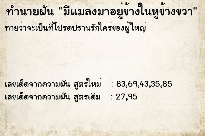 ทำนายฝัน มีแมลงมาอยู่ข้างในหูข้างขวา ทำนายฝัน มีแมลงมาอยู่ข้างในหูข้างขวา