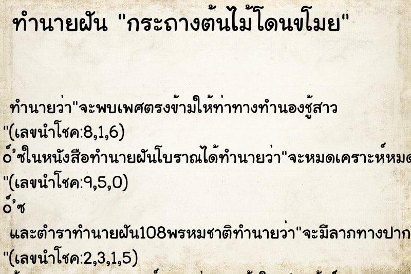 ทำนายฝันกระถางต้นไม้โดนขโมย ทำนายฝันทำนายฝันกระถางต้นไม้โดนขโมย