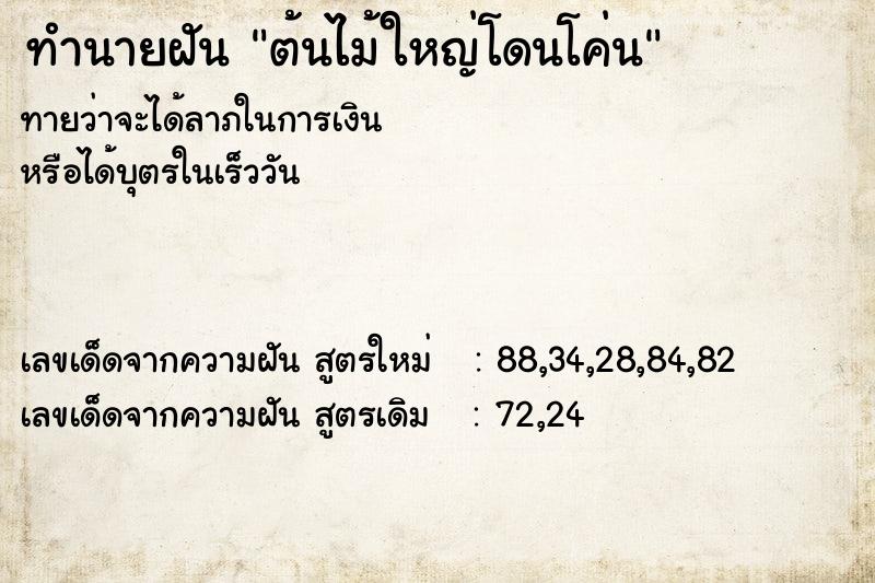 ทำนายฝัน ต้นไม้ใหญ่โดนโค่น ทำนายฝัน ต้นไม้ใหญ่โดนโค่น