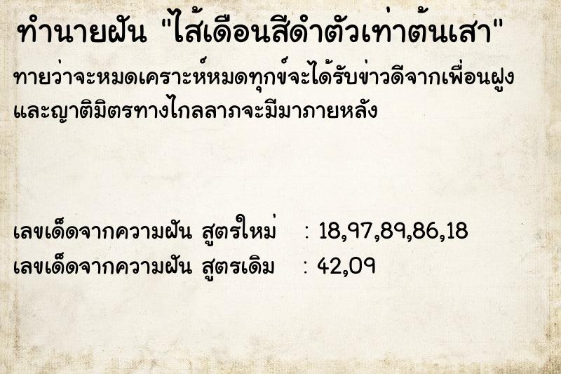 ทำนายฝันไส้เดือนสีดำตัวเท่าต้นเสา ทำนายฝันทำนายฝันไส้เดือนสีดำตัวเท่าต้นเสา