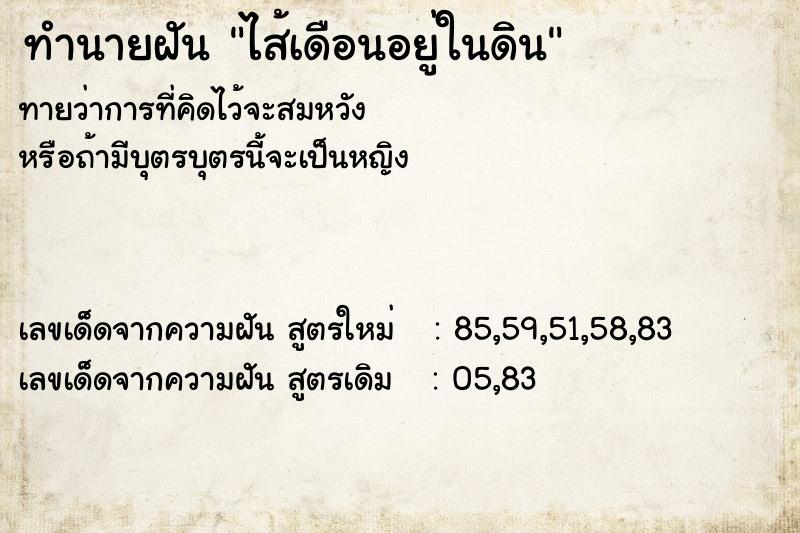 ทำนายฝันทำนายฝันไส้เดือนอยู่ในดิน