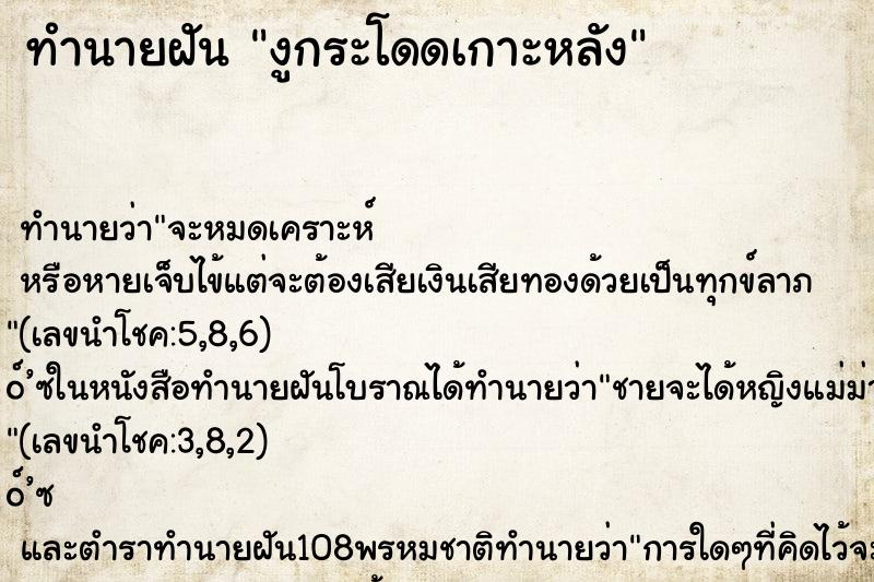 ทำนายฝันงูกระโดดเกาะหลัง ทำนายฝันทำนายฝันงูกระโดดเกาะหลัง