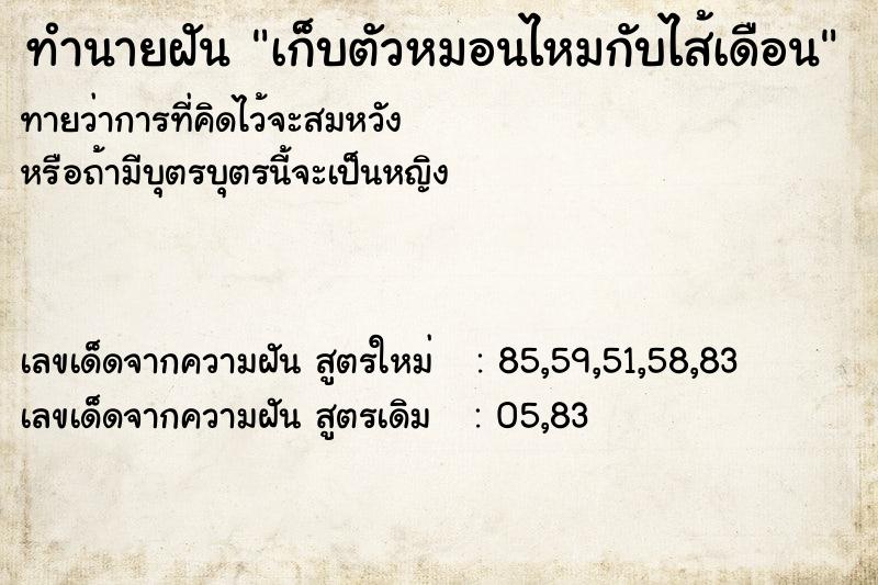 ทำนายฝันเก็บตัวหมอนไหมกับไส้เดือน ทำนายฝันทำนายฝันเก็บตัวหมอนไหมกับไส้เดือน