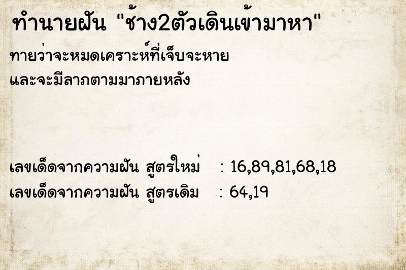 ทำนายฝันช้าง2ตัวเดินเข้ามาหา ทำนายฝันทำนายฝันช้าง2ตัวเดินเข้ามาหา