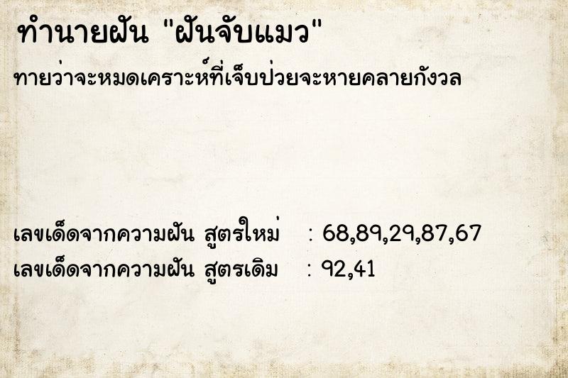 ทำนายฝัน ฝันจับแมว ตำราโบราณ แม่นที่สุดในโลก