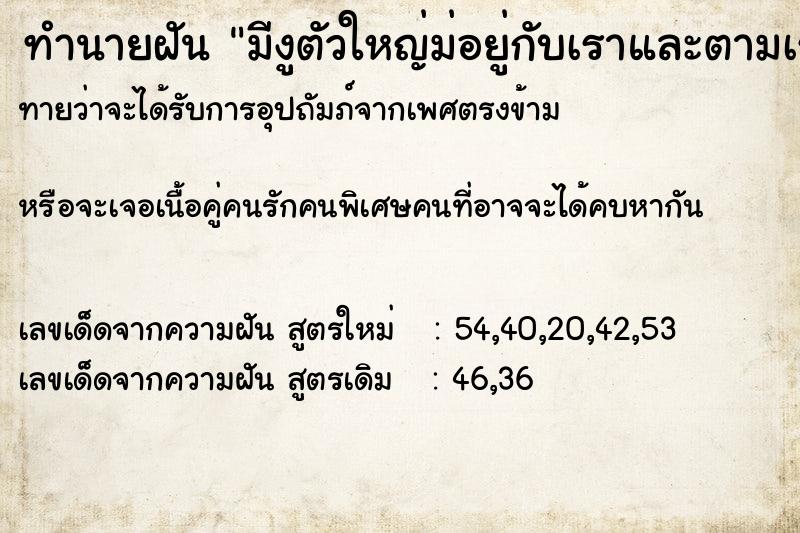 ทำนายฝันมีงูตัวใหญ่ม่อยู่กับเราและตามเราตลิด ทำนายฝันทำนายฝันมีงูตัวใหญ่ม่อยู่กับเราและตามเราตลิด