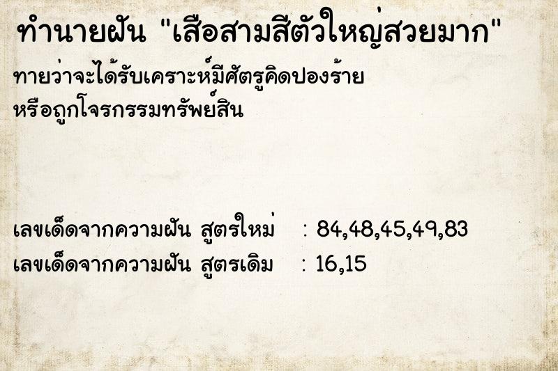 ทำนายฝันเสือสามสีตัวใหญ่สวยมาก ทำนายฝันทำนายฝันเสือสามสีตัวใหญ่สวยมาก