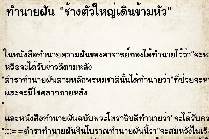 ทำนายฝัน ช้างตัวใหญ่เดินข้ามหัว ทำนายฝัน ช้างตัวใหญ่เดินข้ามหัว