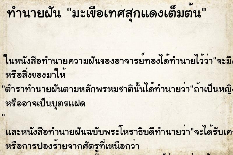 ทำนายฝัน มะเขือเทศสุกแดงเต็มต้น ทำนายฝัน มะเขือเทศสุกแดงเต็มต้น