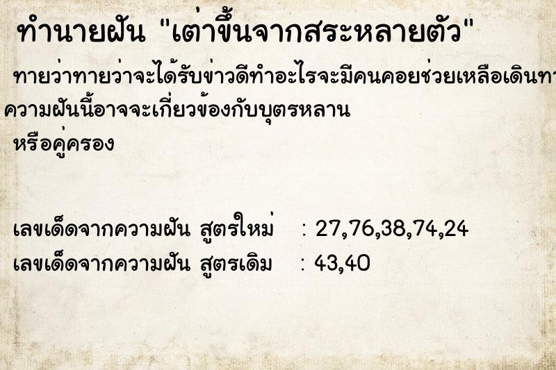 ทำนายฝันทำนายฝันเต่าขึ้นจากสระหลายตัว