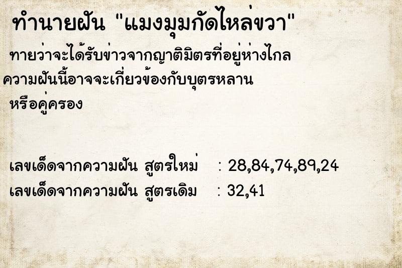 ทำนายฝันทำนายฝันแมงมุมกัดไหล่ขวา