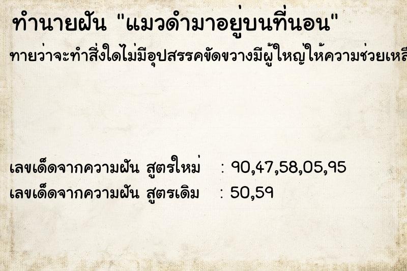 ทำนายฝันทำนายฝันแมวดำมาอยู่บนที่นอน