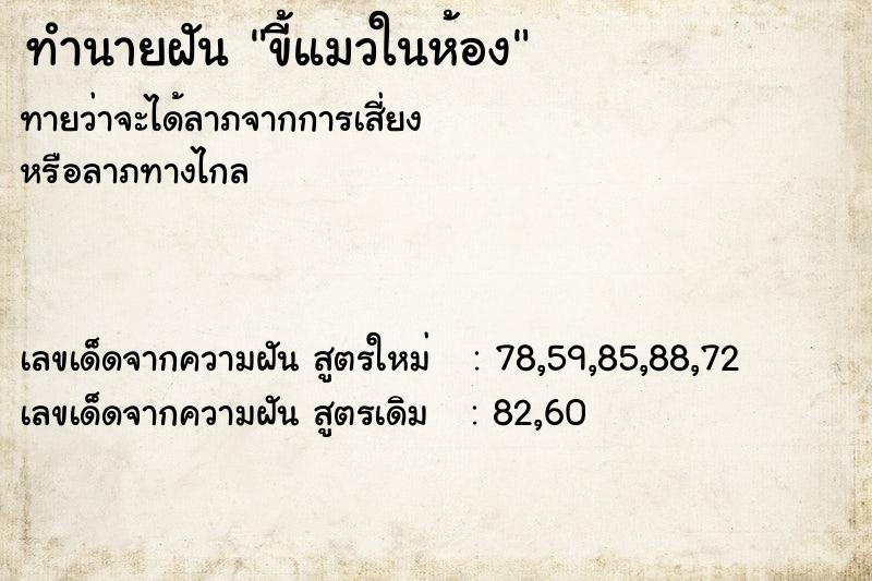 ทำนายฝันขี้แมวในห้อง ทำนายฝันทำนายฝันขี้แมวในห้อง