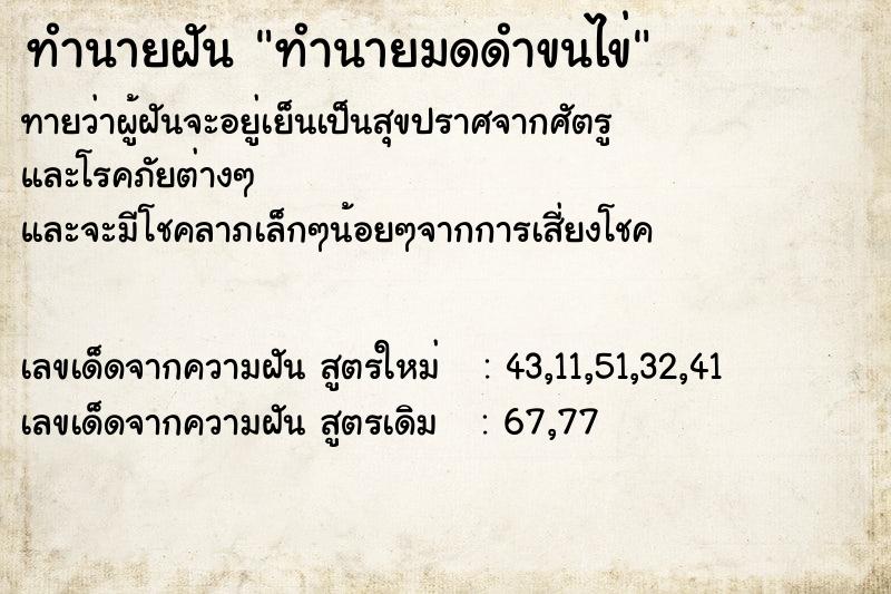 ทำนายฝันทำนายฝันทำนายมดดำขนไข่