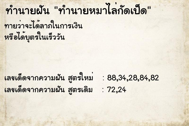 ทำนายฝันทำนายหมาไล่กัดเป็ด ทำนายฝันทำนายฝันทำนายหมาไล่กัดเป็ด