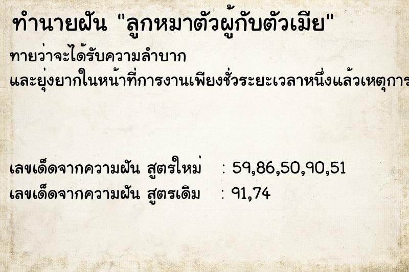 ทำนายฝัน ลูกหมาตัวผู้กับตัวเมีย ทำนายฝัน ลูกหมาตัวผู้กับตัวเมีย