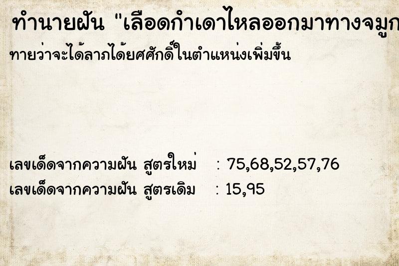 ทำนายฝัน เลือดกําเดาไหลออกมาทางจมูก ทำนายฝัน เลือดกําเดาไหลออกมาทางจมูก