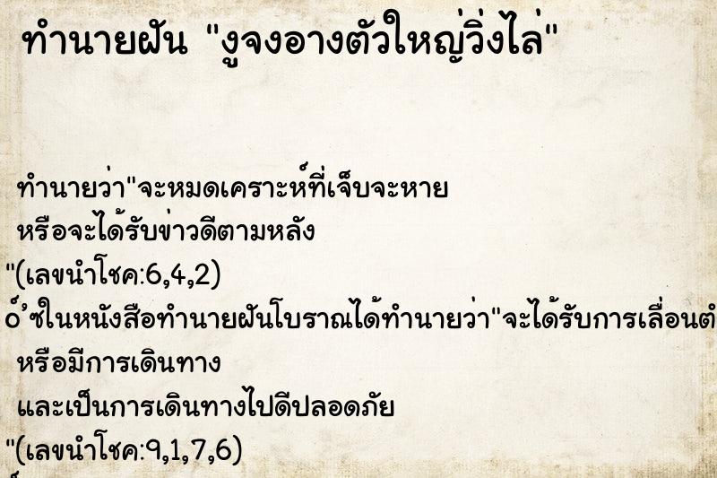 ทำนายฝัน งูจงอางตัวใหญ่วิ่งไล่ ทำนายฝัน งูจงอางตัวใหญ่วิ่งไล่
