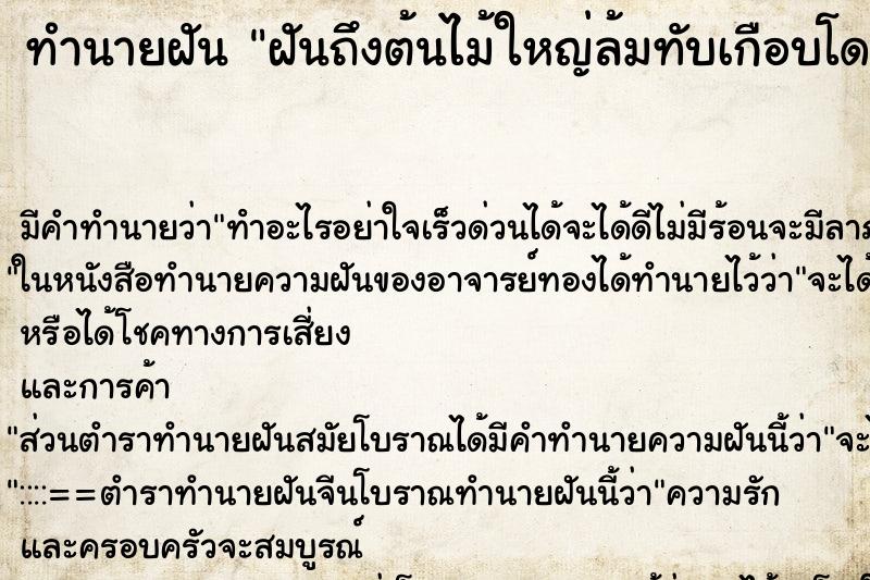 ทำนายฝันทำนายฝันฝันถึงต้นไม้ใหญ่ล้มทับเกือบโดนตัว