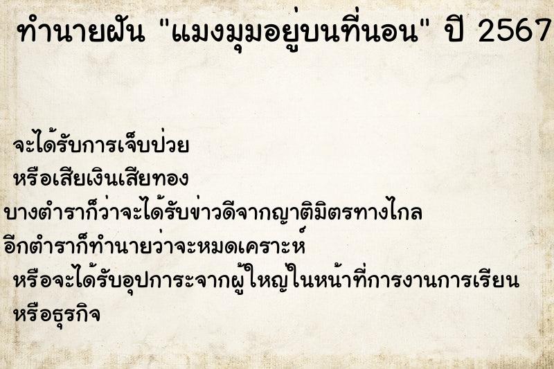 ทำนายฝันทำนายฝันแมงมุมอยู่บนที่นอน