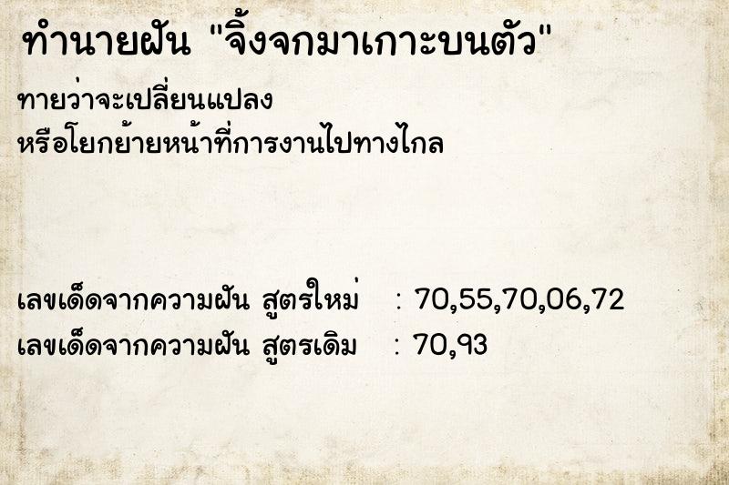 ทำนายฝันจิ้งจกมาเกาะบนตัว ทำนายฝันทำนายฝันจิ้งจกมาเกาะบนตัว