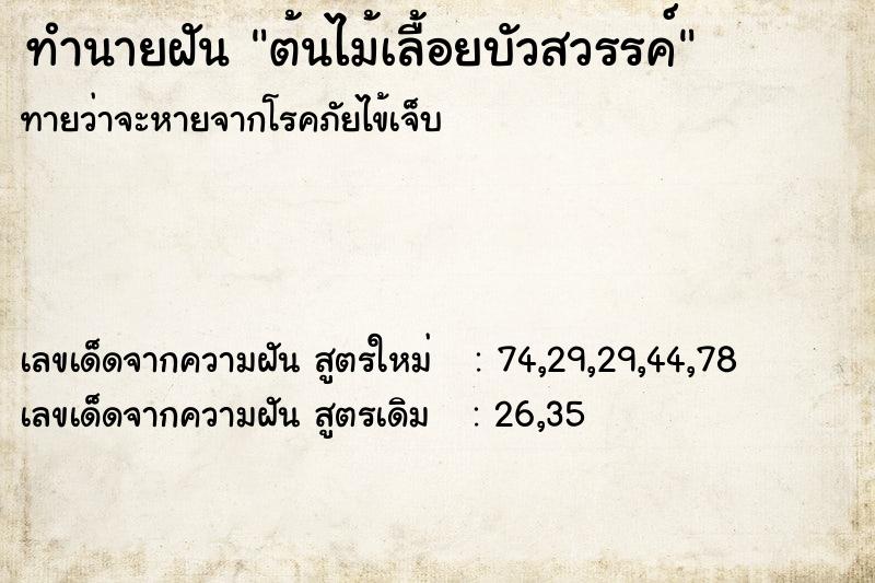 ทำนายฝันทำนายฝันต้นไม้เลื้อยบัวสวรรค์