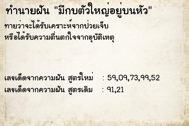 ทำนายฝันมีกบตัวใหญ่อยู่บนหัว ทำนายฝันทำนายฝันมีกบตัวใหญ่อยู่บนหัว
