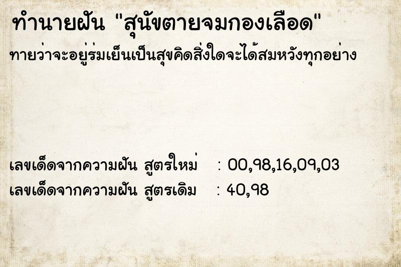 ทำนายฝันทำนายฝันสุนัขตายจมกองเลือด