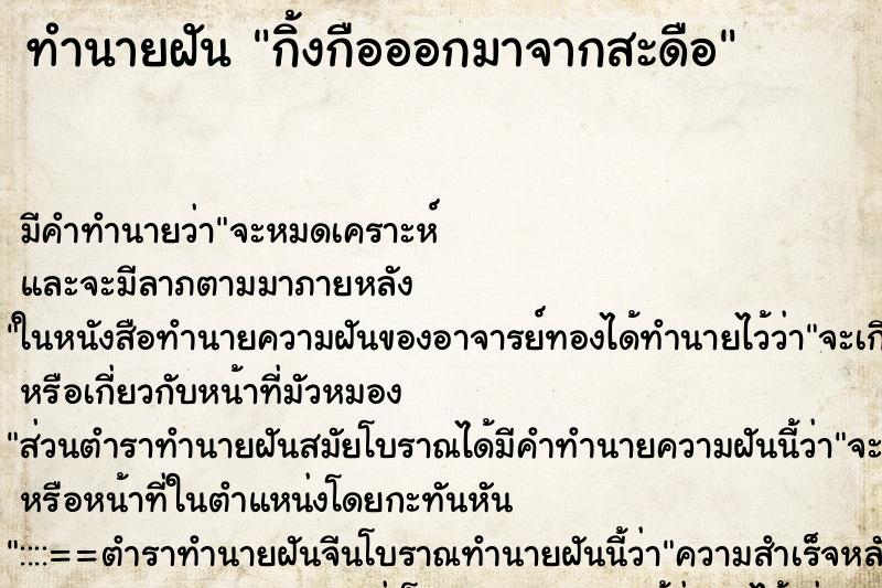 ทำนายฝัน กิ้งกือออกมาจากสะดือ ทำนายฝัน กิ้งกือออกมาจากสะดือ