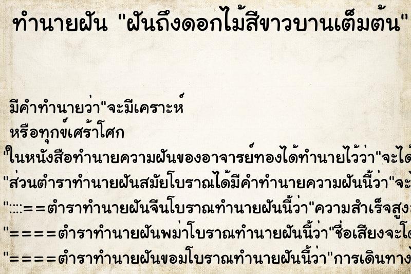 ทำนายฝัน ฝันถึงดอกไม้สีขาวบานเต็มต้น ทำนายฝัน ฝันถึงดอกไม้สีขาวบานเต็มต้น