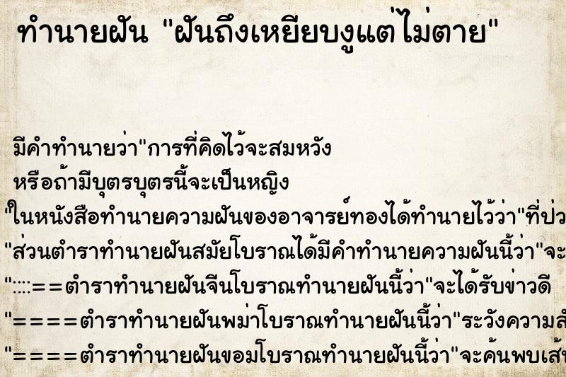 ทำนายฝันฝันถึงเหยียบงูแต่ไม่ตาย ทำนายฝันทำนายฝันฝันถึงเหยียบงูแต่ไม่ตาย